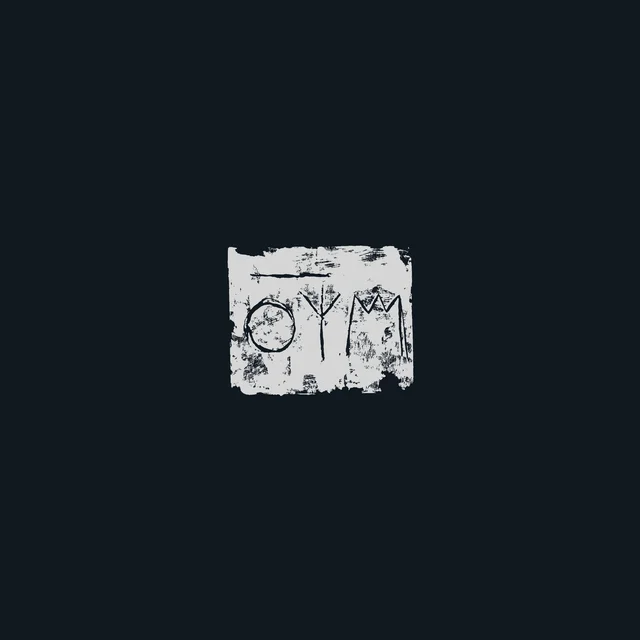 A Swarm Of The Sun Woods (LP) 