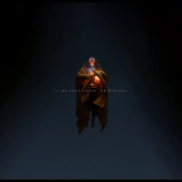 Gísli Gunnarsson Úr Öskunni - LTD (LP) 