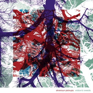 Silversun Pickups Widow's Weeds (2LP)
