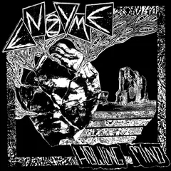 Enzyme Howling Mind (LP)