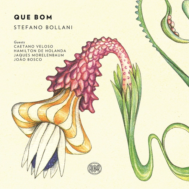 Stefano Bolliano Que Bom (2LP) 