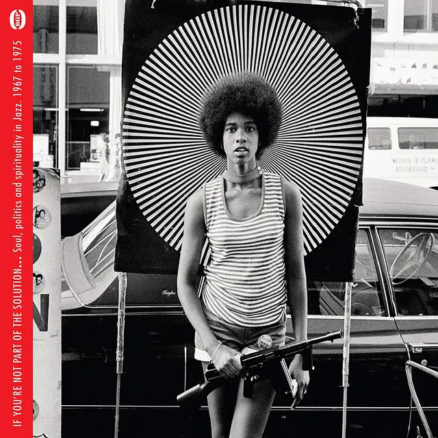 Diverse Artister If You’re Not Part Of The Solution (2LP) 