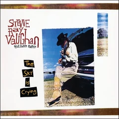 Stevie Ray Vaughan Sky Is Crying (2LP)