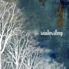 Wintersleep Wintersleep (LP)