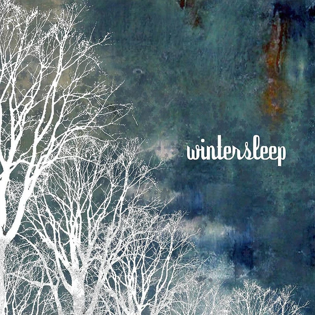 Wintersleep Wintersleep (LP) 