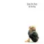Tears For Fears The Hurting (LP)