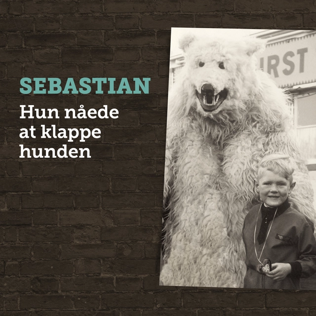 Sebastian Hun Nåede At Klappe Hunden (LP) 
