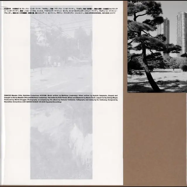 Masako Ohta & Matthias Lindermayr Nozomi (LP) 