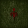 Wardruna Yggdrasil (2LP)