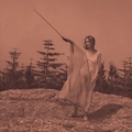 Unknown Mortal Orchestra II (LP)