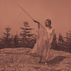 Unknown Mortal Orchestra II (LP)