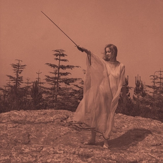 Unknown Mortal Orchestra II (LP)