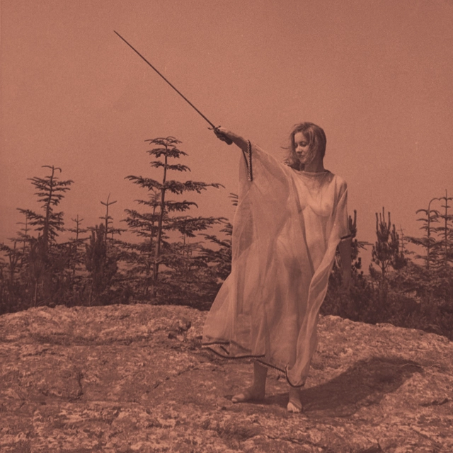 Unknown Mortal Orchestra II (LP) 