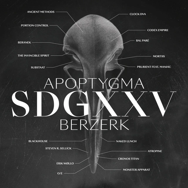 Apoptygma Berzerk SDGXXV (2LP) 