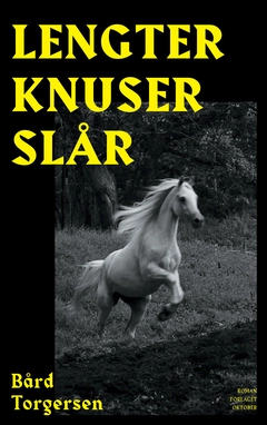 Bård Torgersen Lengter knuser slår (BOK)