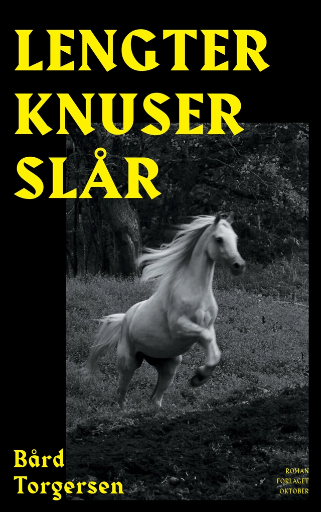 Bård Torgersen Lengter knuser slår (BOK) 