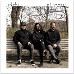 Sebadoh Act Surprised (LP)