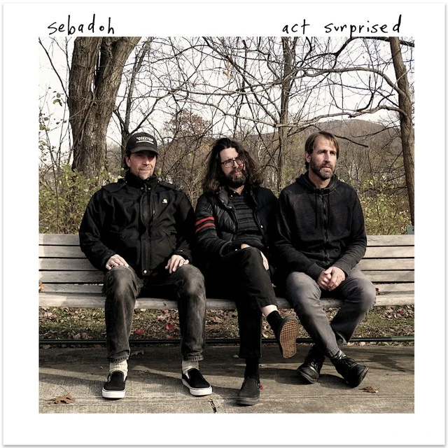 Sebadoh Act Surprised (LP) 