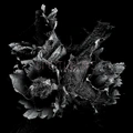 Spotlights Love &amp; Decay (2LP)