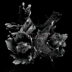 Spotlights Love &amp; Decay (2LP)