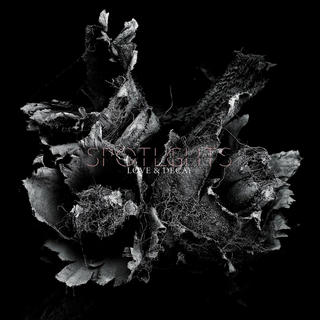 Spotlights Love & Decay (2LP) 