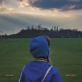 Rozi Plain What A Boost - LTD (LP)