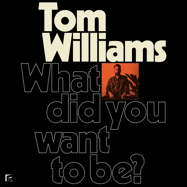 Tom Williams What Did You Want To Be? (LP) 
