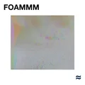 FOAMMM Foammm (LP)