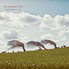 The Pineapple Thief What We Have Sown (2LP)