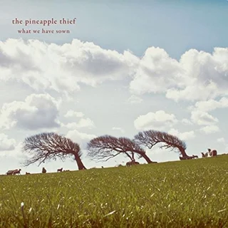 The Pineapple Thief What We Have Sown (2LP)