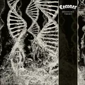 Coroner Dissonance Theory - Mediabook (2CD)