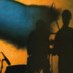 Felt Poem Of The River (LP)