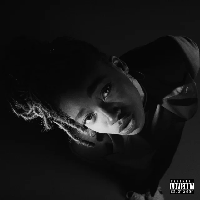 Little Simz Grey Area (LP) 