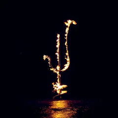 Demon Head Hellfire Ocean Void (LP)