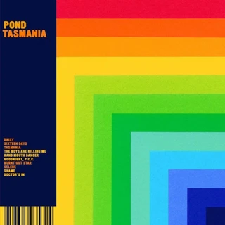 Pond Tasmania (2LP)