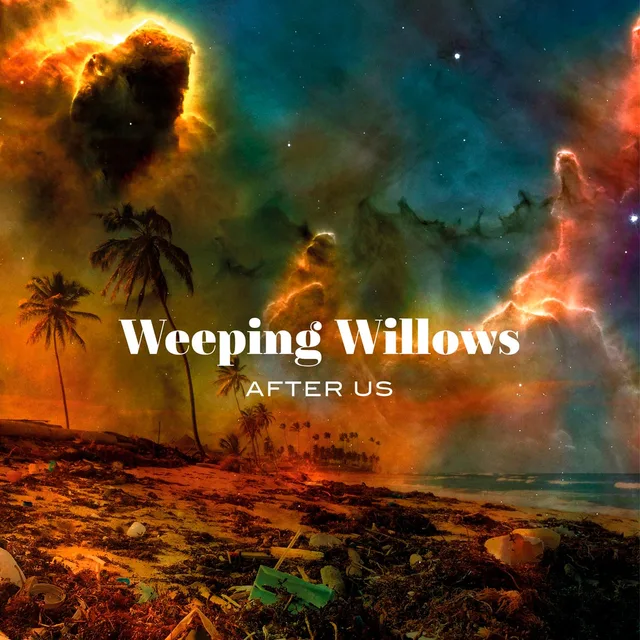 Weeping Willows After Us (LP) 