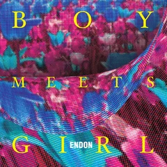 Endon Boy Meets Girl (LP)