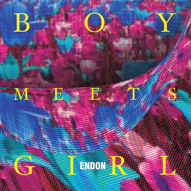 Endon Boy Meets Girl (LP) 