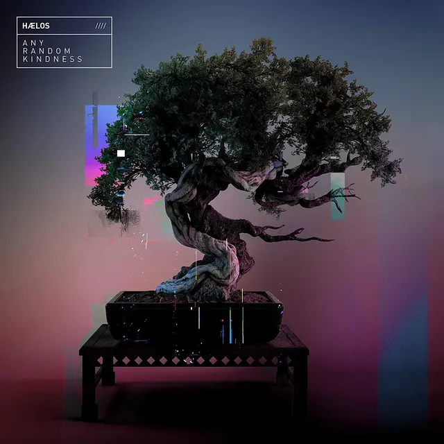 Hælos Any Random Kindness (2LP) 