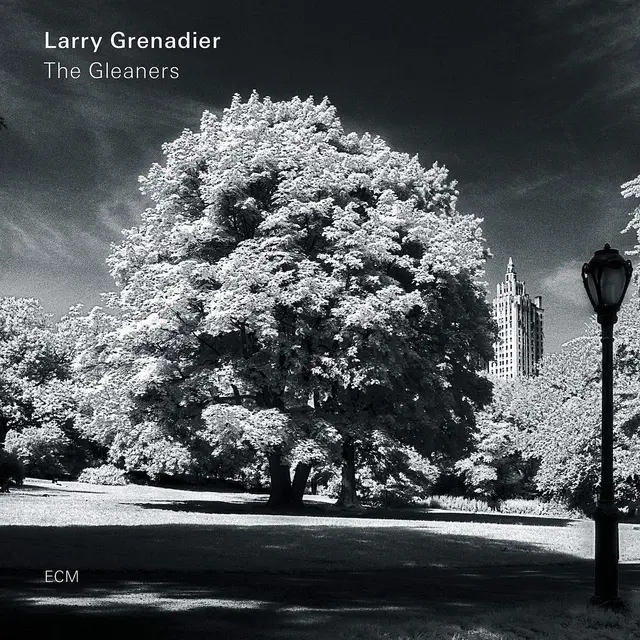 Larry Grenadier Gleaners (LP) 
