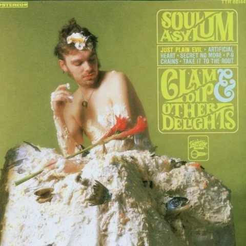 Soul Asylum Clam Dip & Other Delights (LP) 