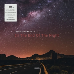 Oddgeir Berg Trio In The End Of The Night (LP)
