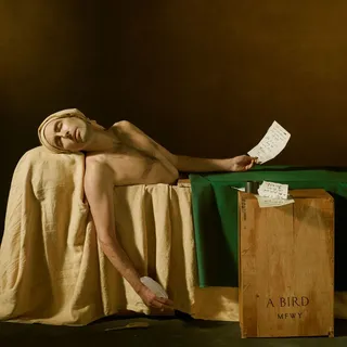 Andrew Bird My Finest Work Yet (LP)