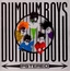 Dumdum Boys Pstereo (LP)