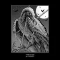 Through The Canopy Descension (LP)