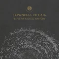 Downfall of Gaia Ethic of Radical Finitude (LP)