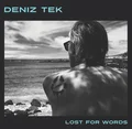 Deniz Tek Lost for Words (LP)