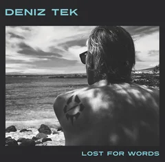 Deniz Tek Lost for Words (LP)