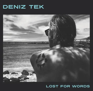 Deniz Tek Lost for Words (LP)