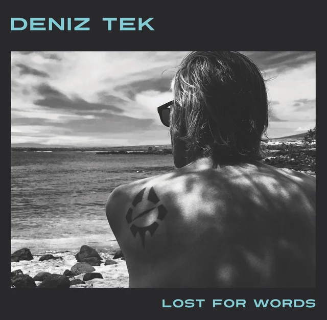Deniz Tek Lost for Words (LP) 